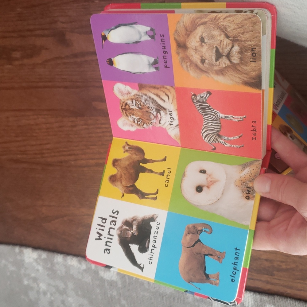 First 100 Box Set Board Books - Picture 5 of 7